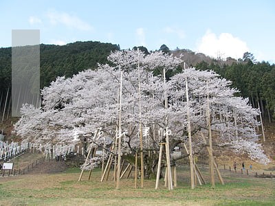 金顶街律师 金顶街律师