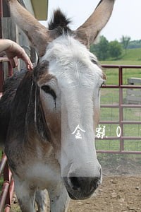 金额0当前无逾期