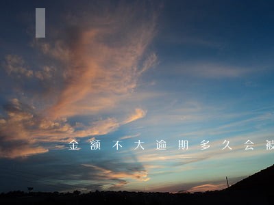 金额不大逾期多久会被列入 金额不大逾期多久会被列入