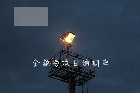 金额与项目逾期率 金额与项目逾期率
