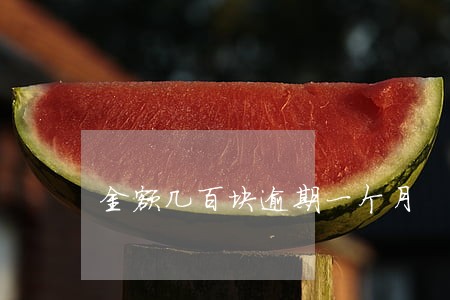 金额几百块逾期一个月