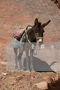 金额分级逾期率 金额分级逾期率