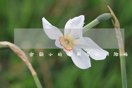 金额小的逾期可以消除吗 金额小的逾期可以消除吗