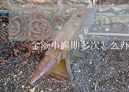 金额小逾期多次怎么办