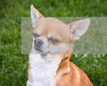 金额很小的逾期几年消除