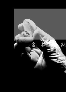 金额逾期上征信怎么办 金额逾期上征信怎么办
