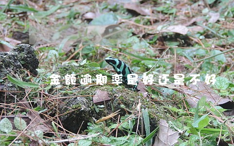 金额逾期率是好还是不好 金额逾期率是好还是不好