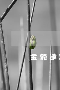 金额逾期违约金 金额逾期违约金