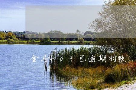 金马403已逾期付款 金马403已逾期付款