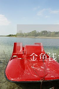 金鱼钱包有逾期的吗 金鱼钱包有逾期的吗