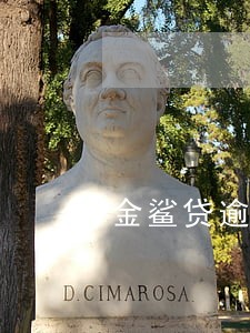 金鲨贷逾期三个月了
