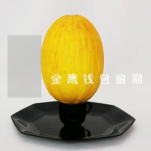 金鹰钱包逾期 金鹰钱包逾期