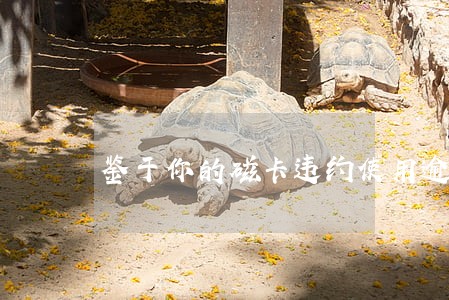 鉴于你的磁卡违约使用逾期记录 鉴于你的磁卡违约使用逾期记录