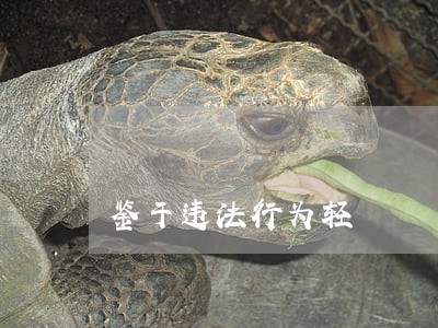 鉴于违法行为轻