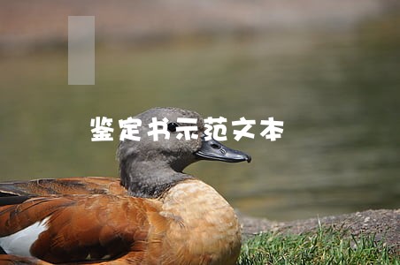 鉴定书示范文本 鉴定书示范文本