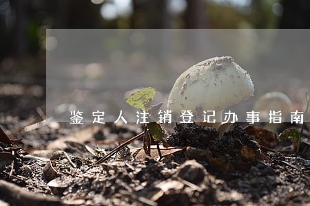 鉴定人注销登记办事指南