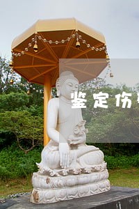 鉴定伤残需要多少钱