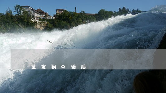 鉴定到9级后 鉴定到9级后