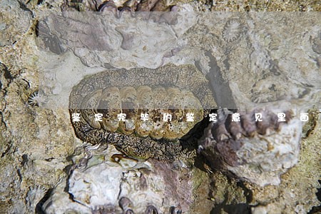 鉴定完毕的鉴定意见里面 鉴定完毕的鉴定意见里面