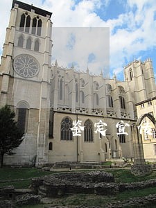 鉴定宣传活动 鉴定宣传活动