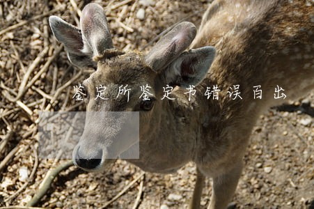 鉴定所鉴定书错误百出 鉴定所鉴定书错误百出