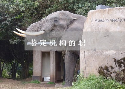 鉴定机构的职 鉴定机构的职