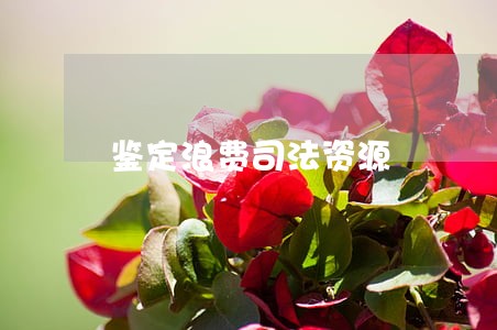 鉴定浪费司法资源 鉴定浪费司法资源