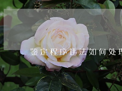 鉴定程序违法如何处理