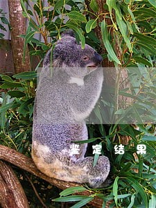 鉴定结果不满意想去投诉 鉴定结果不满意想去投诉