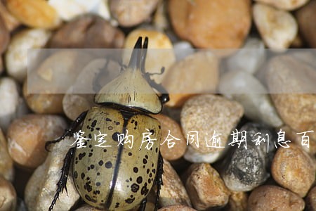 鉴定购房合同逾期利息百分之五十 鉴定购房合同逾期利息百分之五十