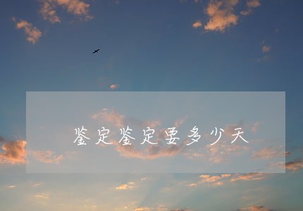 鉴定鉴定要多少天