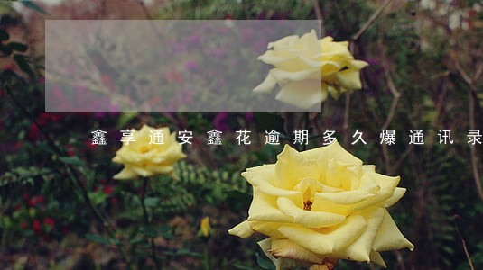 鑫享通安鑫花逾期多久爆通讯录 鑫享通安鑫花逾期多久爆通讯录