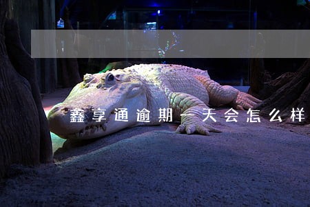 鑫享通逾期一天会怎么样 鑫享通逾期一天会怎么样