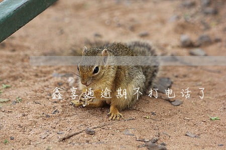 鑫享通逾期不打电话了 鑫享通逾期不打电话了