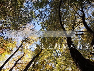 鑫享通逾期几天打联系人电话 鑫享通逾期几天打联系人电话