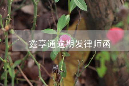 鑫享通逾期发律师函 鑫享通逾期发律师函