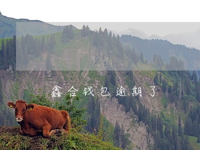 鑫合钱包逾期了