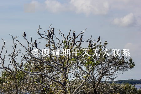鑫呗逾期十天无人联系 鑫呗逾期十天无人联系