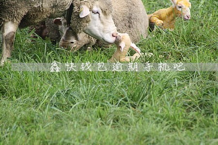 鑫快钱包逾期手机吧 鑫快钱包逾期手机吧