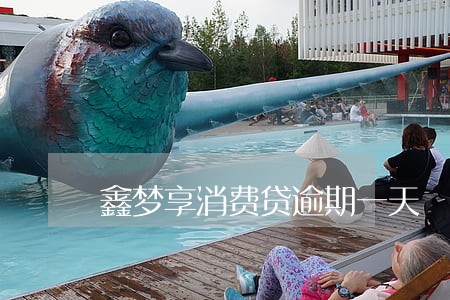 鑫梦享消费贷逾期一天 鑫梦享消费贷逾期一天