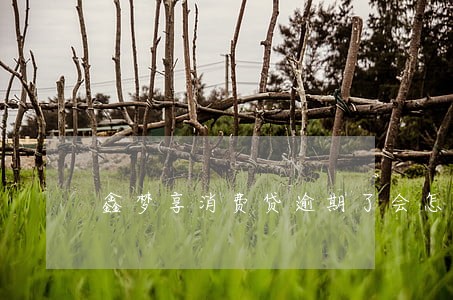 鑫梦享消费贷逾期了会怎样 鑫梦享消费贷逾期了会怎样