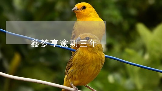 鑫梦享逾期三年 鑫梦享逾期三年