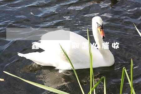 鑫梦享逾期怎么催收 鑫梦享逾期怎么催收