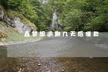 鑫梦想逾期几天后催款