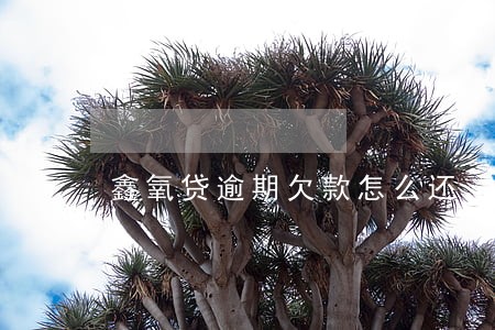 鑫氧贷逾期欠款怎么还 鑫氧贷逾期欠款怎么还