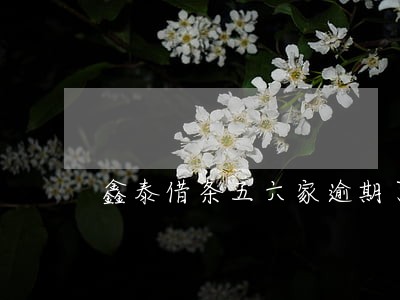 鑫泰借条五六家逾期了 鑫泰借条五六家逾期了