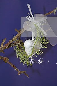 鑫祥17保险能逾期多久交保费 鑫祥17保险能逾期多久交保费