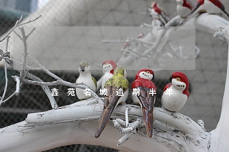 鑫苑名城逾期半年 鑫苑名城逾期半年