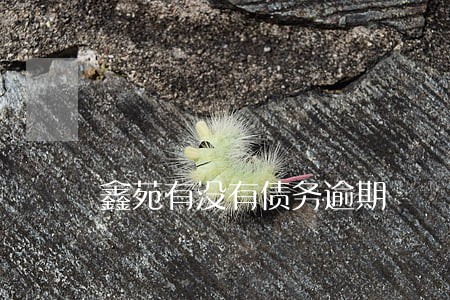 鑫苑有没有债务逾期 鑫苑有没有债务逾期