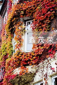 鑫茂荣信财富逾期兑付 鑫茂荣信财富逾期兑付